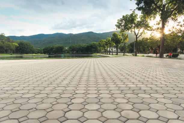 Best Driveway Pavers Near Me  in Pike Creek Valley, DE